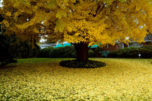 987529 (a): :2560x1706